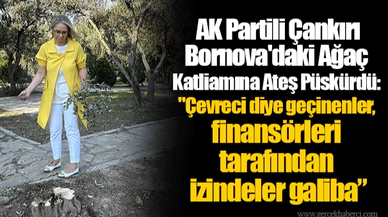  AK Partili Çankırı Bornova'daki Ağaç Katliamına Ateş Püskürdü:  " Çevreci diye geçinenler, finansörleri tarafından izindeler galiba”