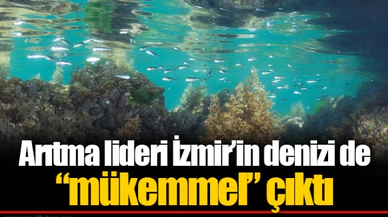 Arıtma lideri İzmir’in denizi de “mükemmel” çıktı
