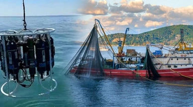 Balıkçılık tehlikede! Deniz suyu yüzey sıcaklıklarında korkutan artış