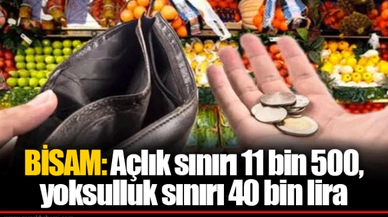 BİSAM: Açlık sınırı 11 bin 500, yoksulluk sınırı 40 bin lira