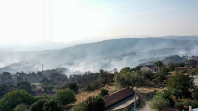 Çanakkale’deki orman yangını rüzgarla yeniden alevlendi
