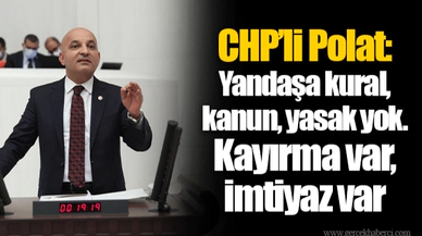 CHP’li Polat: Yandaşa kural, kanun, yasak yok. Kayırma var, imtiyaz var
