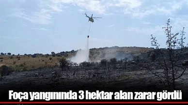 Foça yangınında 3 hektar alan zarar gördü