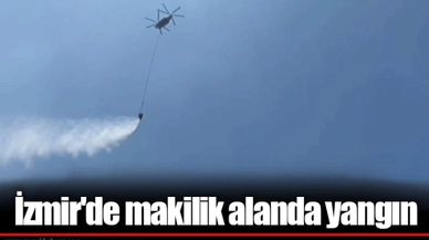 İzmir'de makilik alanda yangın