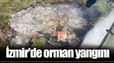 İzmir'de orman yangını