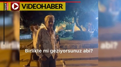 Kaz ile dostluğu yürekleri ısıttı... Yanından hiç ayrılmadı...