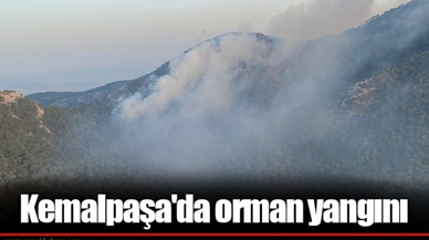 Kemalpaşa'da orman yangını