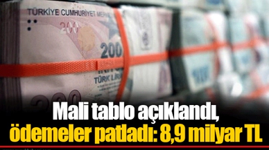 Mali tablo açıklandı, ödemeler patladı: 8,9 milyar TL