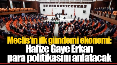 Meclis'in ilk gündemi ekonomi: Hafize Gaye Erkan para politikasını anlatacak