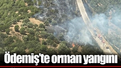 Ödemiş’te orman yangını
