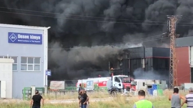 Tekirdağ’da bir fabrika alevlere teslim oldu! Patlamalar peş peşe geldi