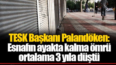 TESK Başkanı Palandöken: Esnafın ayakta kalma ömrü ortalama 3 yıla düştü