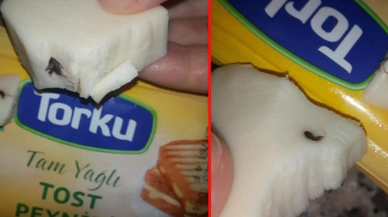 Torku'dan rezalet: Peynirin içinden bakın ne çıktı