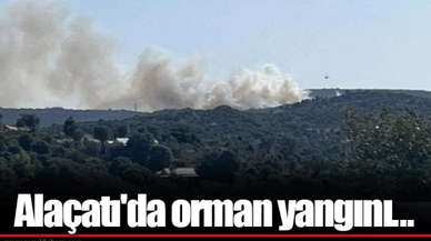 Alaçatı'da orman yangını...