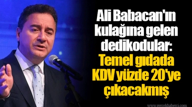 Ali Babacan'ın kulağına gelen dedikodular: Temel gıdada KDV yüzde 20'ye çıkacakmış