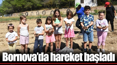 Bornova’da hareket başladı
