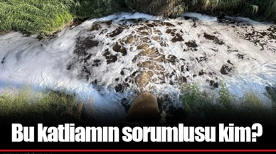 Bu katliamın sorumlusu kim?