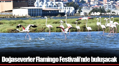 Doğaseverler Flamingo Festivali’nde buluşacak
