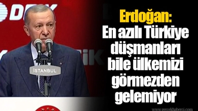 Erdoğan: En azılı Türkiye düşmanları bile ülkemizi görmezden gelemiyor