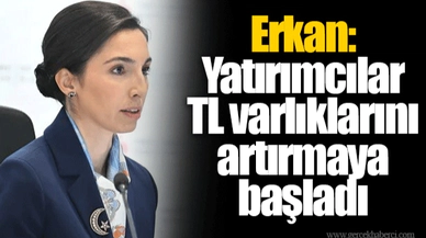 Erkan: Yatırımcılar TL varlıklarını artırmaya başladı