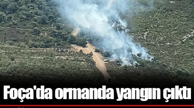 Foça'da ormanda yangın çıktı