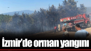 İzmir'de orman yangını