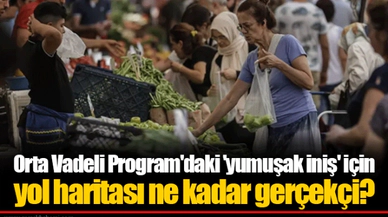 Orta Vadeli Program'daki 'yumuşak iniş' için yol haritası ne kadar gerçekçi?