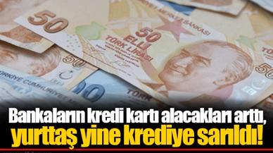 Bankaların kredi kartı alacakları arttı, yurttaş yine krediye sarıldı!