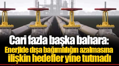 Cari fazla başka bahara: Enerjide dışa bağımlılığın azalmasına ilişkin hedefler yine tutmadı
