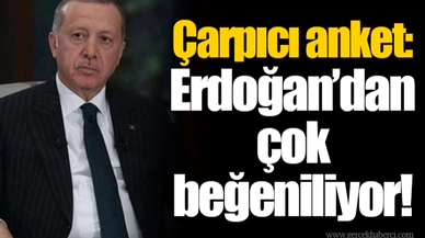 Çarpıcı anket: Erdoğan’dan çok beğeniliyor!