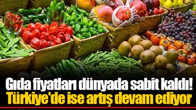 Gıda fiyatları dünyada sabit kaldı! Türkiye'de ise artış devam ediyor