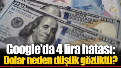 Google'da 4 lira hatası: Dolar neden düşük gözüktü?