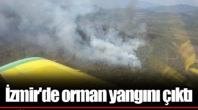 İzmir'de orman yangını çıktı