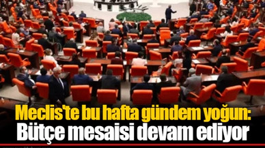 Meclis'te bu hafta gündem yoğun: Bütçe mesaisi devam ediyor