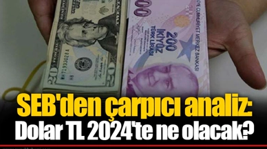 SEB'den çarpıcı analiz: Dolar TL 2024'te ne olacak?
