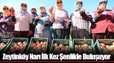 Zeytinköy Narı İlk Kez Şenlikle Buluşuyor