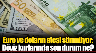 Euro ve doların ateşi sönmüyor: Döviz kurlarında son durum ne?
