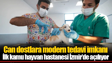 İlk kamu hayvan hastanesi İzmir’de açılıyor