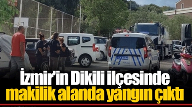 İzmir'in Dikili ilçesinde makilik alanda yangın çıktı