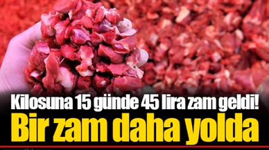 Kilosuna 15 günde 45 lira zam geldi! Bir zam daha yolda