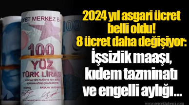 2024 yılı asgari ücret belli oldu! 8 ücret daha değişiyor: İşsizlik maaşı, kıdem tazminatı ve engelli aylığı...