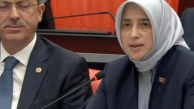 AK Partili Özlem Zengin'den 'Allah'ın gazabı' açıklaması: Bazı arkadaşlarımız arkalarda olduğu için...