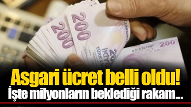Asgari ücret belli oldu!