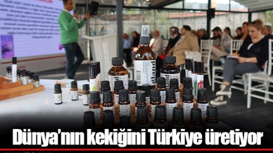 Dünya’nın kekiğini Türkiye üretiyor