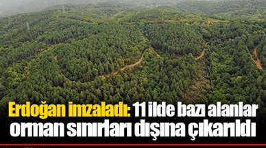 Erdoğan imzaladı: 11 ilde bazı alanlar orman sınırları dışına çıkarıldı