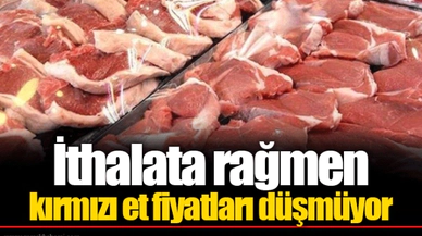 İthalata rağmen kırmızı et fiyatları düşmüyor