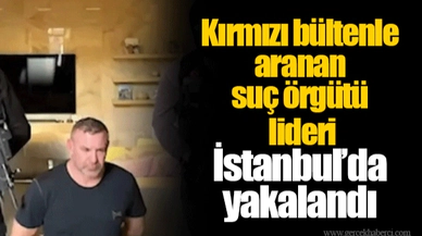 Kırmızı bültenle aranan suç örgütü lideri İstanbul’da yakalandı