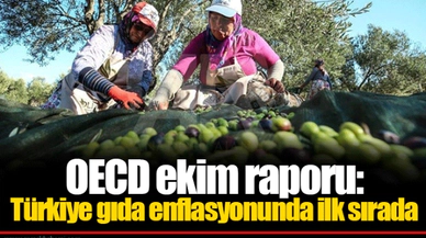 OECD ekim raporu: Türkiye gıda enflasyonunda ilk sırada
