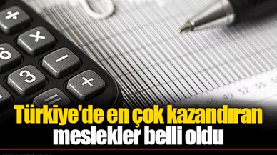 Türkiye'de en çok kazandıran meslekler belli oldu