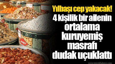 Yılbaşı cep yakacak! 4 kişilik bir ailenin ortalama kuruyemiş masrafı dudak uçuklattı